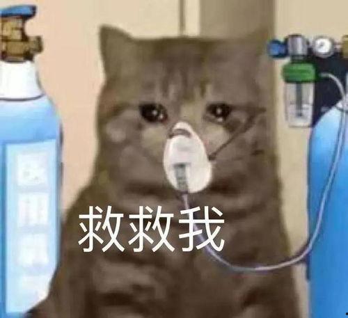 救救我 表情包,紧急救援！揭秘“救救我”表情包背后的故事