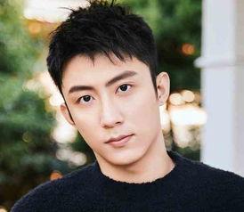 黄景瑜八卦,揭秘娱乐圈的低调实力派，八卦背后的真性情