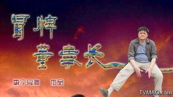 冒牌董事长花絮,一场惊心动魄的职场较量